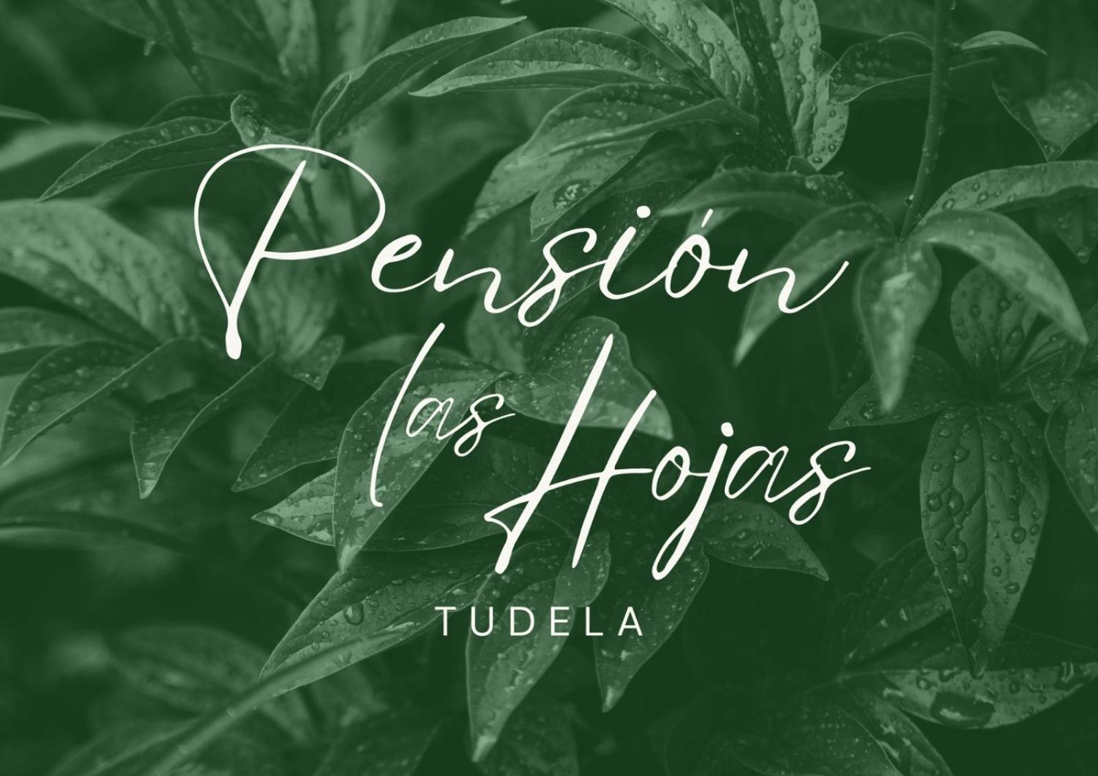 Pension Las Hojas Tudela Exteriér fotografie